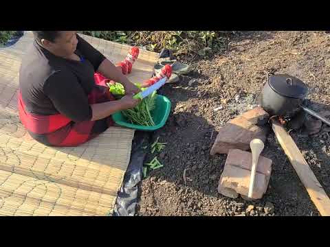 The Village Way Of Cooking Cattle Tripe Maguru The Zimbabwean Style 