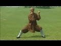 Shaolin Kung Fu: big power form