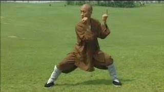 Shaolin Kung Fu Combat Styles: 8. big power form (炮拳: pao quan)