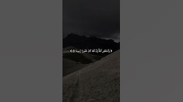 سوره النساء   #القران الكريم #المنشاوي
