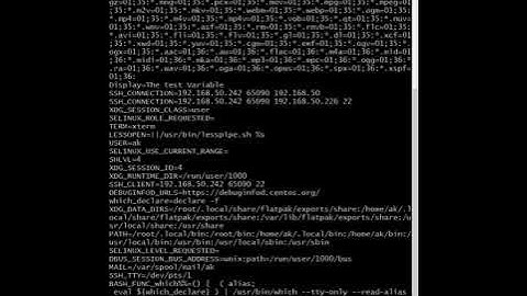 How to set list and remove the environment variables in Linux | Beginerrs