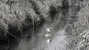 وَالْمُؤْمِنُونَ وَالْمُؤْمِنَاتُ بَعْضُهُمْ أَوْلِيَاءُ بَعْضٍ ۚ | سورة التوبة