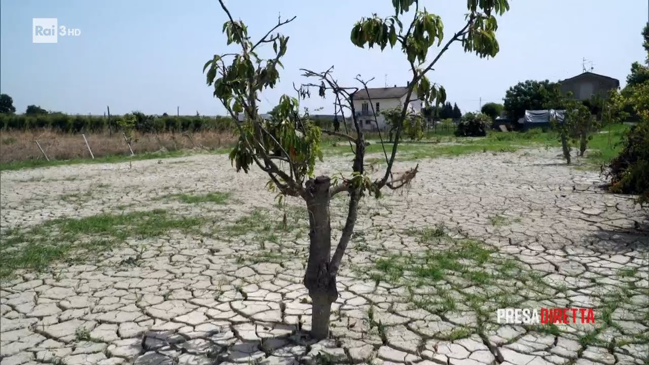 L'alluvione del secolo - PresaDiretta 04/09/2023