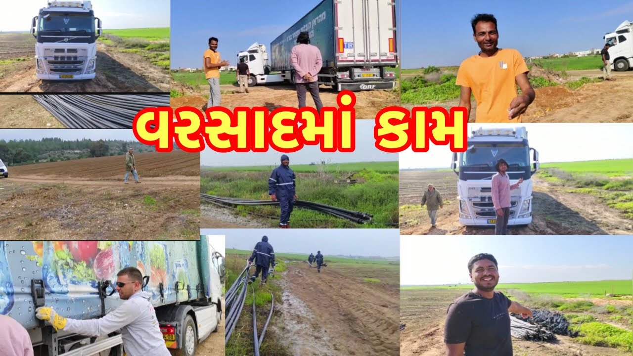agriculture work in Rain #rainyday #israelagriculture #gujarati #irrigationmethod