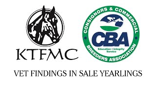 CBA Vet Findings In Sale Yearlings -  Q & A from Fasig-Tipton