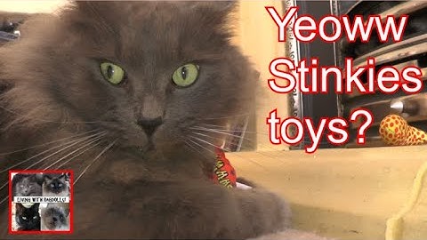 Yeoww Stinky catnip fish toys- do my cats like them? #yeowwstinky #catlover