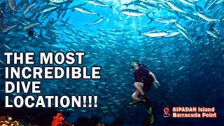 Scuba Diving at Sipadan Island in Malaysia | Barracuda point is an incredible diving location!!!