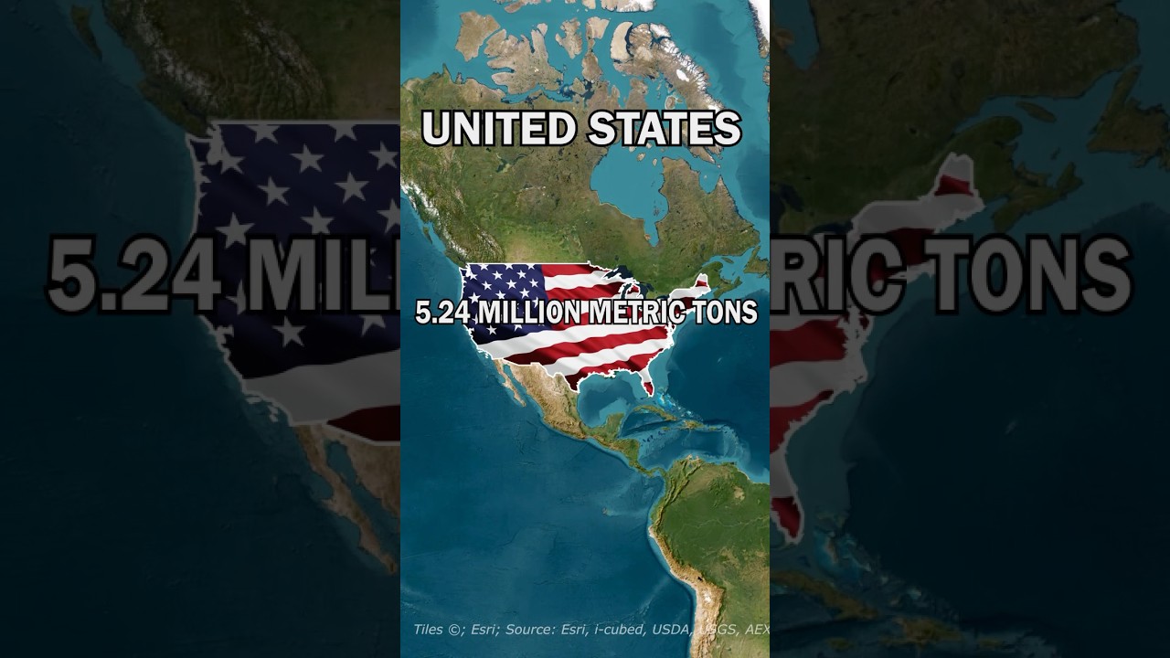Top 5 Orange Producing Countries in the World   