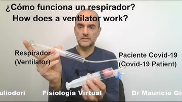 Los respiradores y la pandemia de COVID 19 ¿cómo funciona un respirador artificial? Simple y claro
