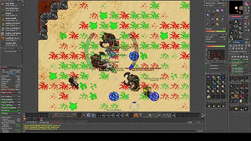 Cults of tibia -  The Sandking boss