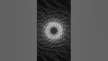 Time dilatation. #touchdesigner #digitalart #generativeart #codeart #digitalart #newmediaart