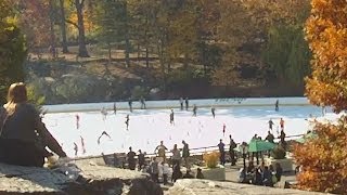Wollman Trump Ice Rink In NewYork City's Central Park