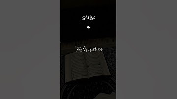 القرآن الكريم 🫀🎧 #القران_الكريم #اكسبلور #دويتو #قران #المصحف #راحة_نفسية