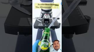Perrier beer under the microscope
