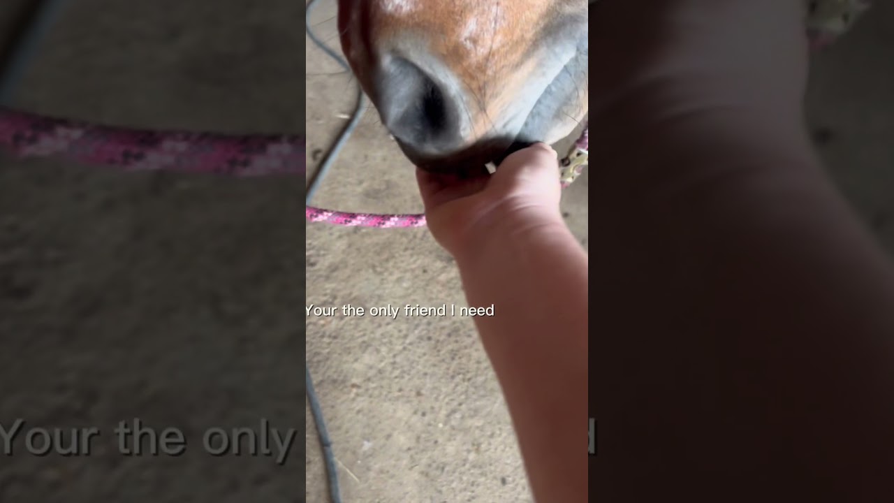 Remi❤️ (Old video)