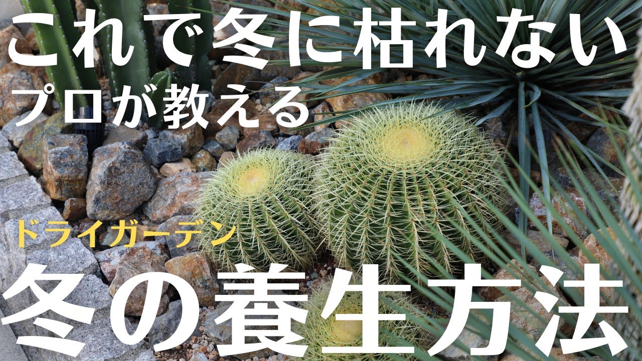 【霜や雪から守るドライガーデン用簡易温室】これで冬越しも安全！