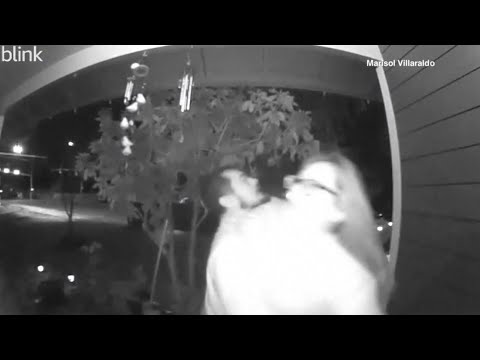 Oregon kidnapping suspect arrested, caught on camera abducting woman he ...