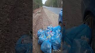 За чистоту в Тайге. #лес #тайга #сибирь природа #север #свинь #свалка #люди #звери #дикоросы