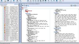 RadarOpus Dr Filip Degroote - Energetic Bundle screenshot 2