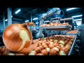 How Onion Process Inside the World's Largest Factory (Full Process)