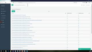SanityCheck Site Speed Report