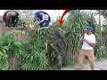 BUSHMAN PRANK AT TAMPA BAY BUCCANEERS VS NEW YORK GIANTS