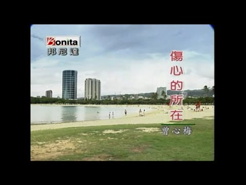 曾心梅 傷心的所在