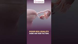 Poor Egg Quality? Signs You Shouldn’t Ignore ⚠️