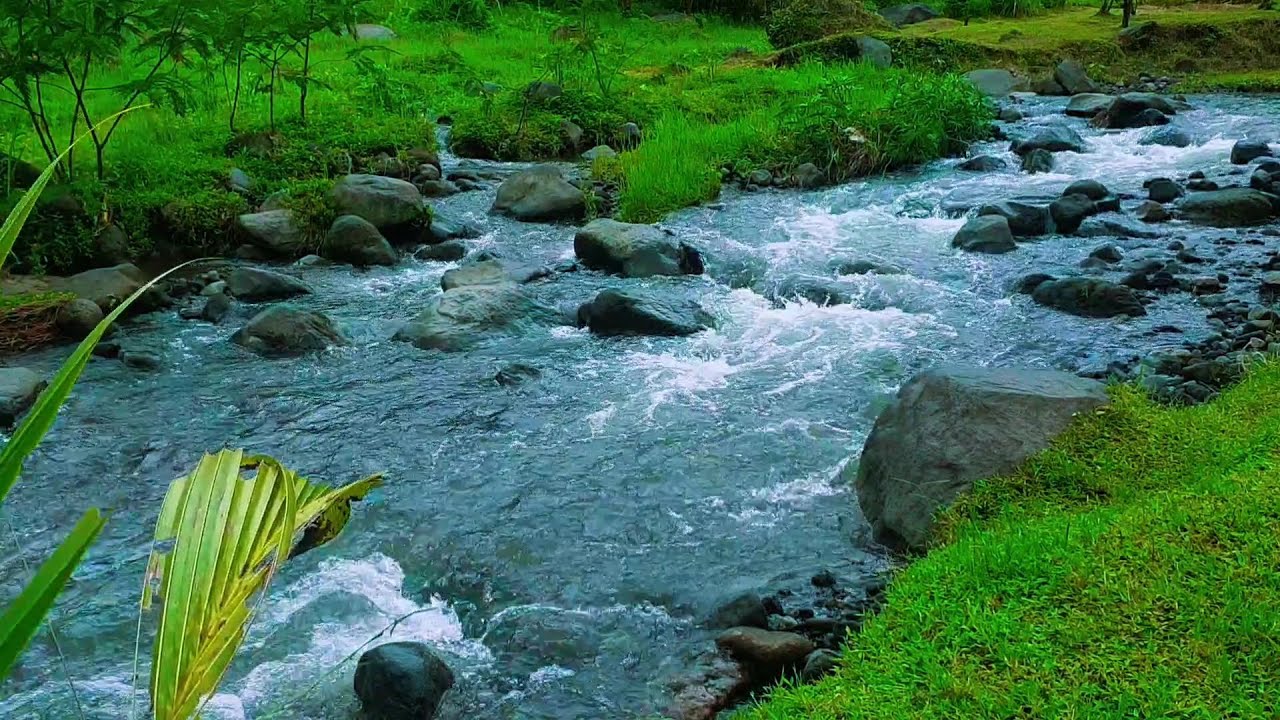Peaceful Nature Heals the Soul With Symphony of Forest Streams Sounds ...