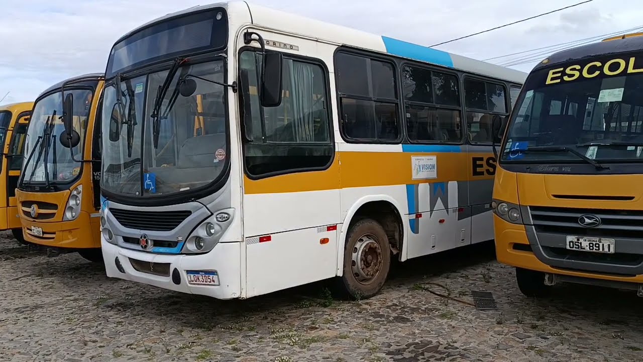 Transporte escolar: O que eles fazem durante as férias escolares ? 