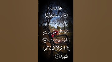 سورة الذاريات وماخلقت الجن والإنس إلا ليعبدون مااريد منهم من رزق وماأريد ان يطعمون الاية ٥٦ إلى ٥٨