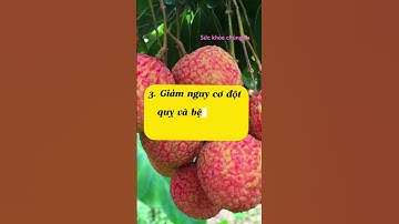 7 CÔNG DỤNG CỦA QUẢ VẢI ĐỐI VỚI SỨC KHOẺ #dinhduong #health #baithuocdangian #vảithiều