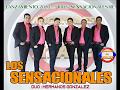 LOS SENSACIONALES - DUO HERMANOS GONZALEZ , LANZAMIENTO 2020 , POLKA 100% SENSACIONALES RE