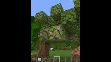 MINECRAFT LOGIC MAKE NO SENSE #shorts