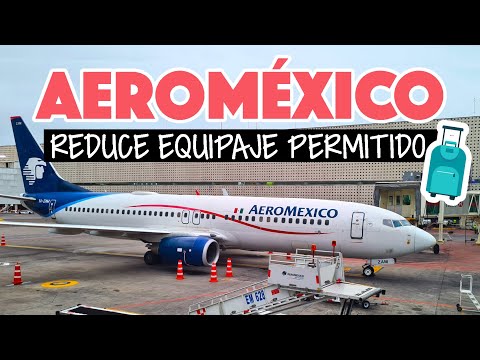 Atención, viajeros: nuevo interrogatorio sobre equipaje en vuelos a EU |  Aviación 21