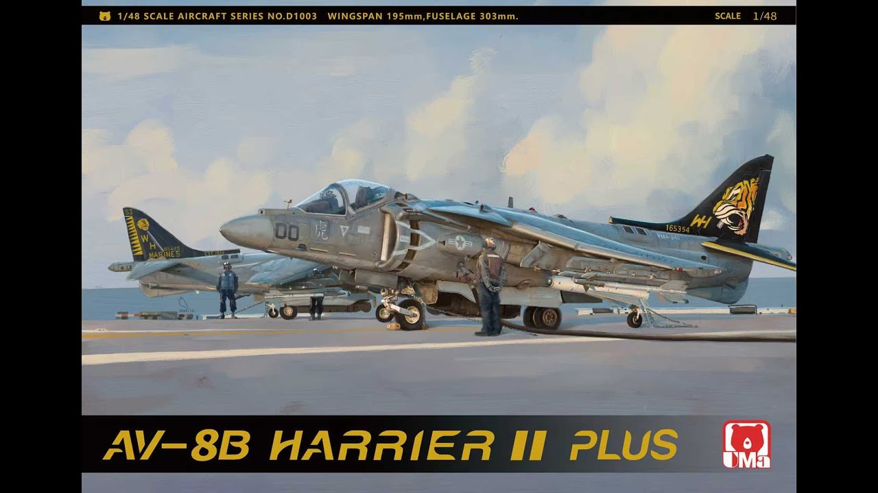 AV-8B Harrier II PLUS VMA-542 "Tigers" Squadron.