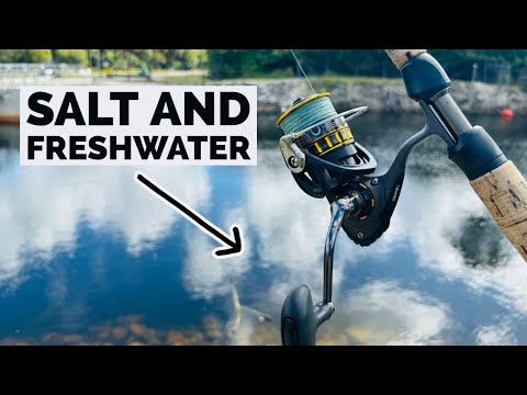 daiwa bg saltwater spinning reel 2500 MQ Introducing the BG Series Fishing Reel Daiwa BG MQ Spinning Reel