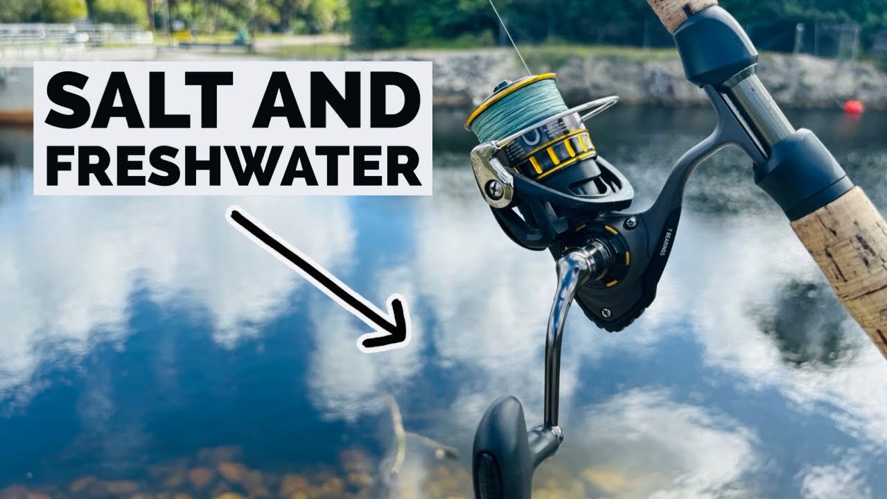 Saltwater Spinning Daiwa Bg 2500 Spinning Reel Daiwa BG Spinning Reel BG  3000 Bass Pro Shops