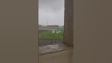 تلاوة من القرآن الكريم بصوت الشيخ محمد صديق المنشاوي | سورة الحشر آية رقم ١٩ | تلاوة عطرة وجميلة جدا