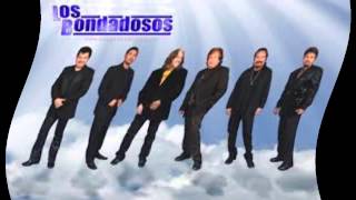 Los Bondadosos - Timida
