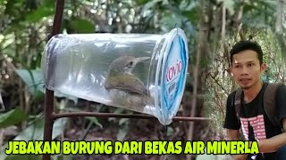 UNIK SEKALI.. JEBAKAN BURUNG PRENJAK DARI BEKAS AIR MINERAL