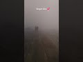sangam vibes in winter morning #sangam #winter #prayagraj #shots #viral
