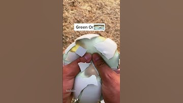 monday left me broken