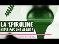 Produire de la Spiruline étape par étape - Partie 1/2 - Rencontre SOSpiruline #16