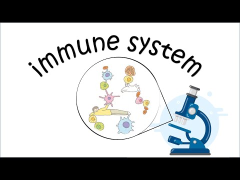 جهاز المناعة (المناعة الطبيعية والمكتسبة) |immune system (innate& adaptive immunity)