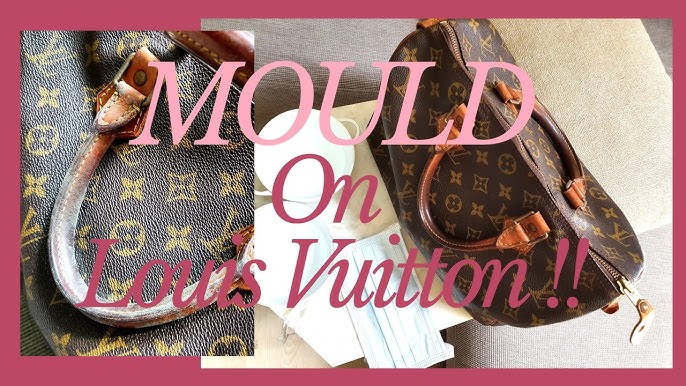 How to remove mold and mildew from Louis Vuitton! 