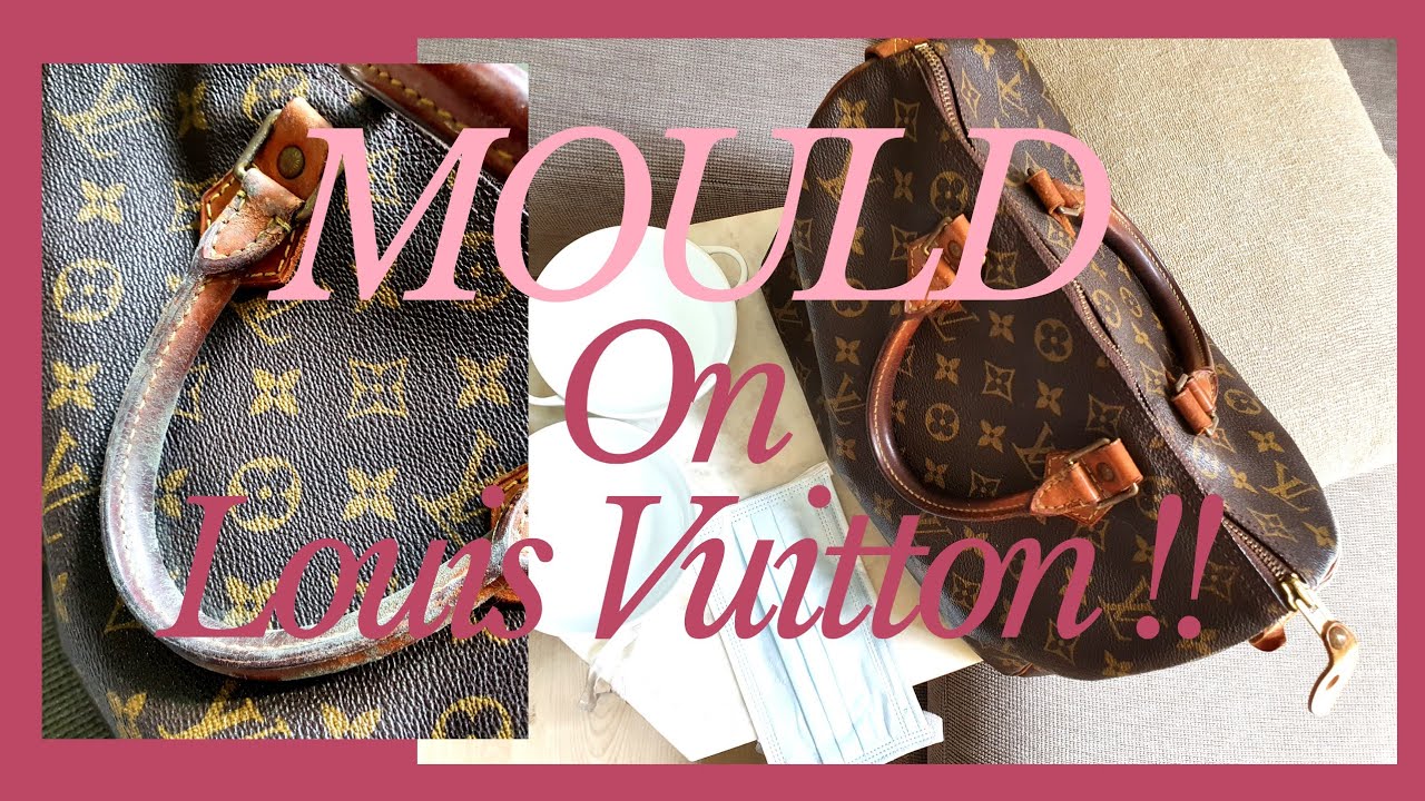 How To Clean Your Louis Vuitton Bag - Expert Cleaning Guide