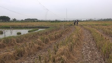 Đánh Vạc bằng lưới tàng hình/ Anh em tham khảo