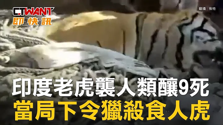 CTWANT 国际新闻 / 印度老虎袭人类酿9死　当局下令猎杀食人虎 - 天天要闻
