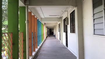 Zhiyun smooth Q with Iphone 7 plus jogging test